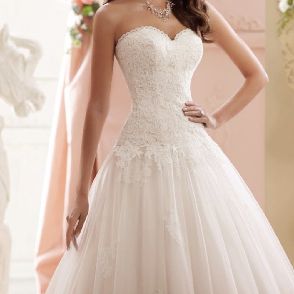 Never Worn -  Wedding Dress (Lucien 115241)